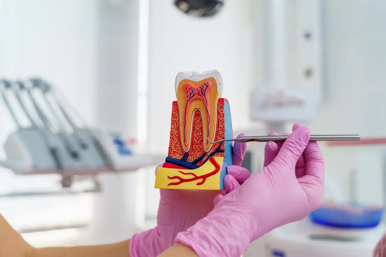 liječenje zubi Zaprešić - ordinacija dentalne medicine Vedran Šebečić